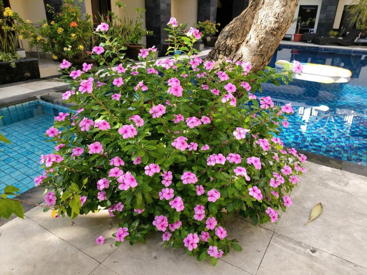 Radha Bali Hotel Kuta Lombok Exteriör bild