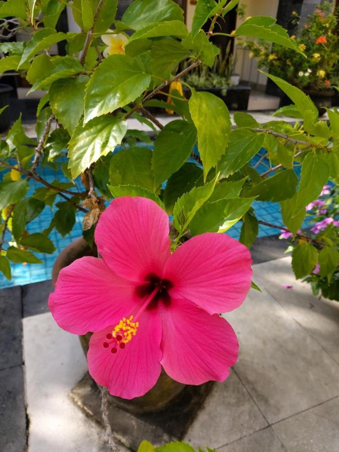 Radha Bali Hotel Kuta Lombok Exteriör bild