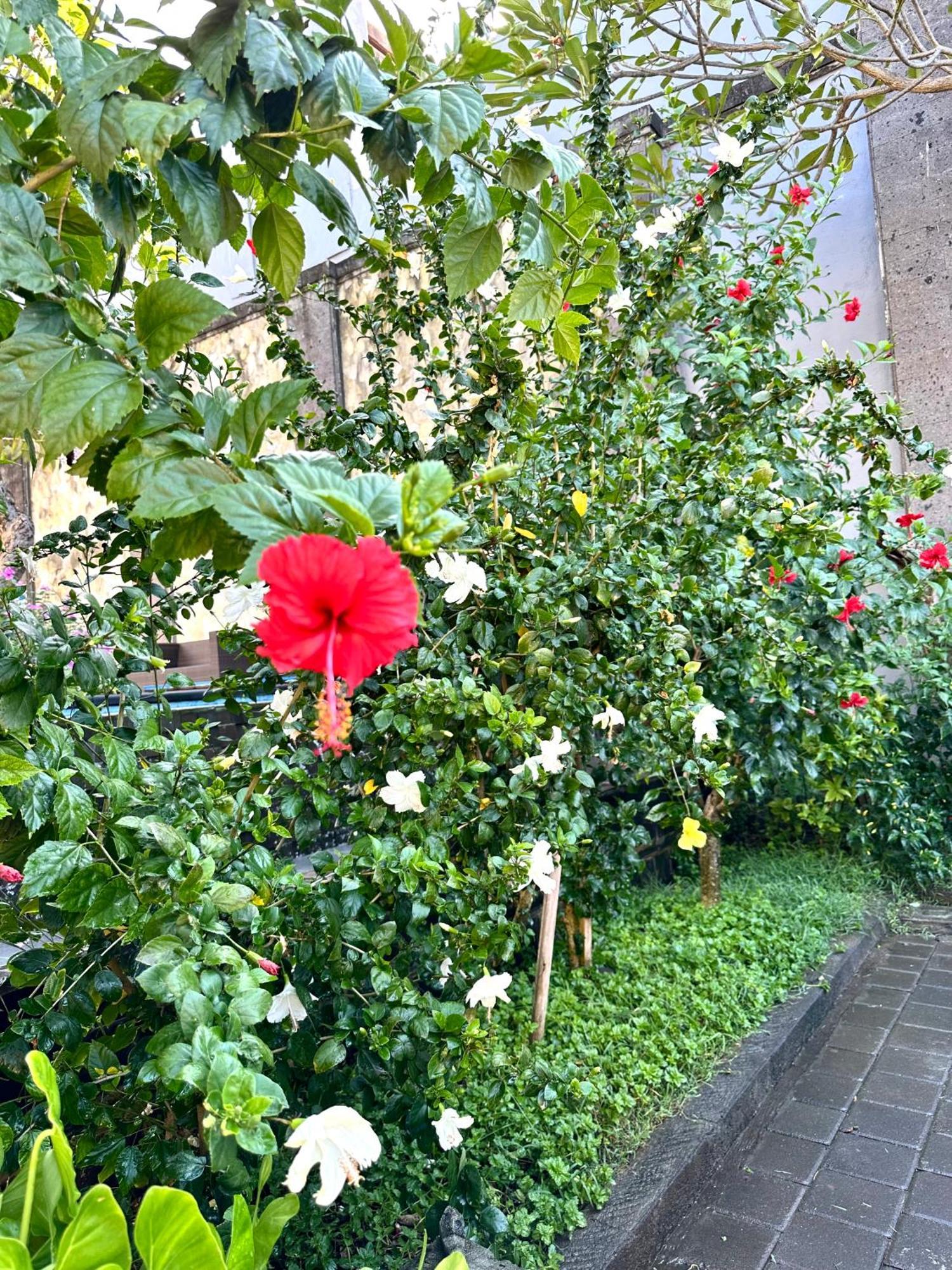 Radha Bali Hotel Kuta Lombok Exteriör bild